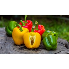 BELL PEPPER